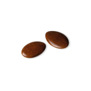 Dragées chocolat Châtaigne