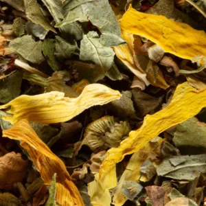 Tisane | Fruits Exotiques